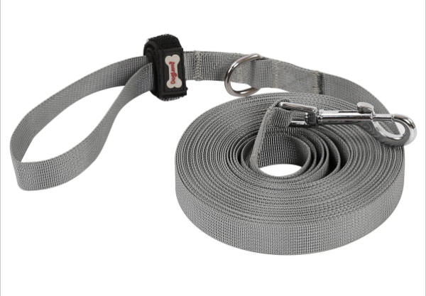 Recall Leash